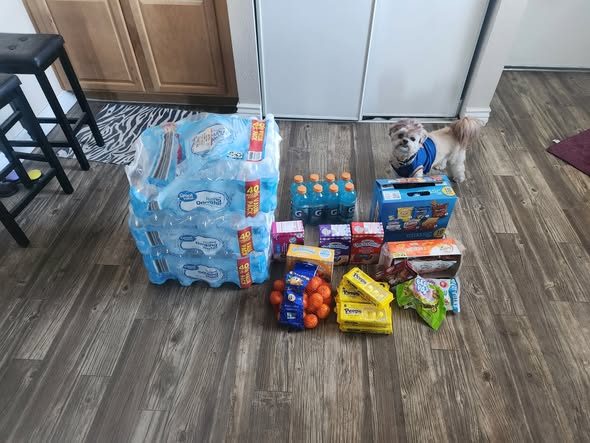 Donated water, sports drinks, snacks, and oranges on a floor, with a small dog nearby